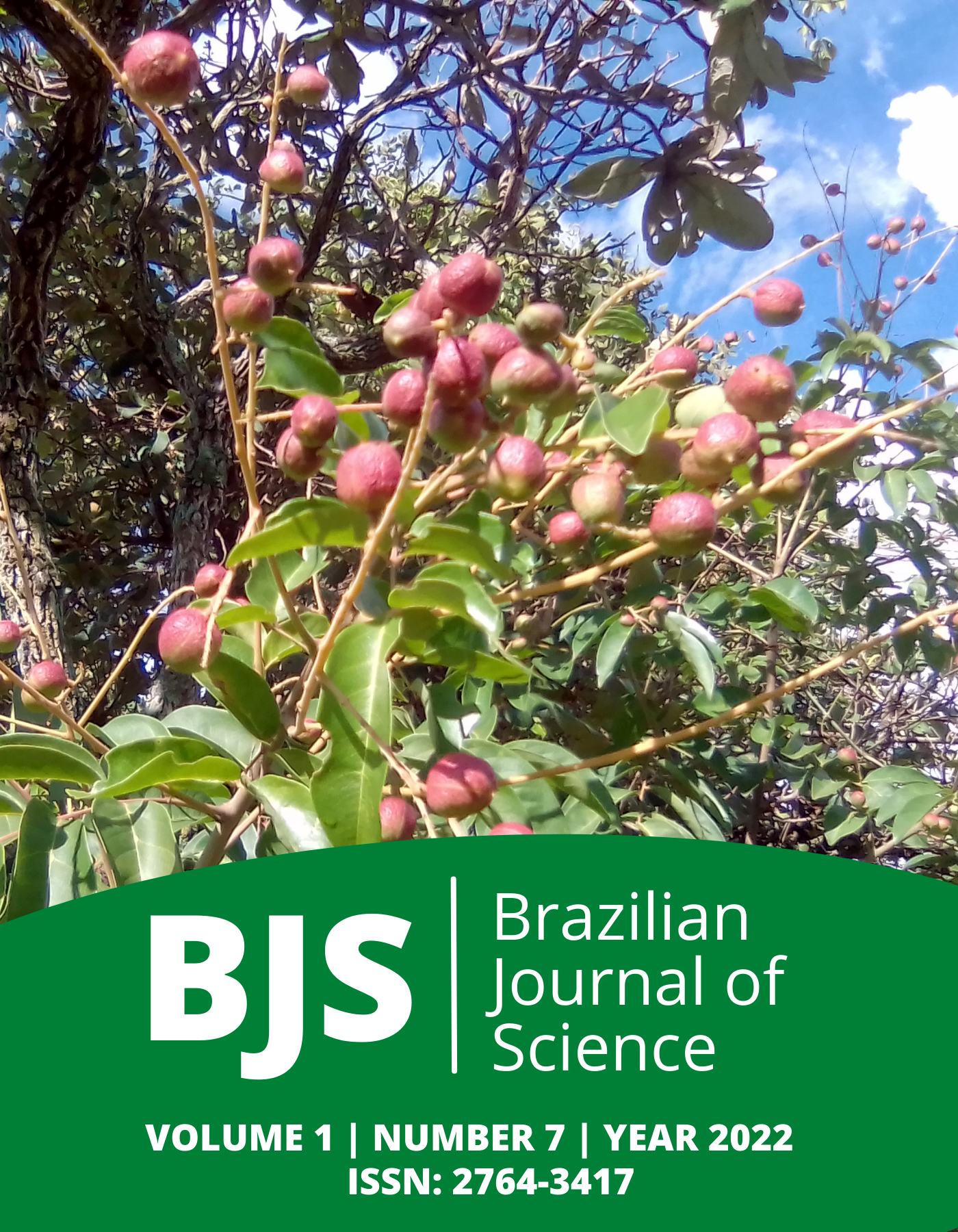 					View Vol. 1 No. 7 (2022): Brazilian Journal of Science
				