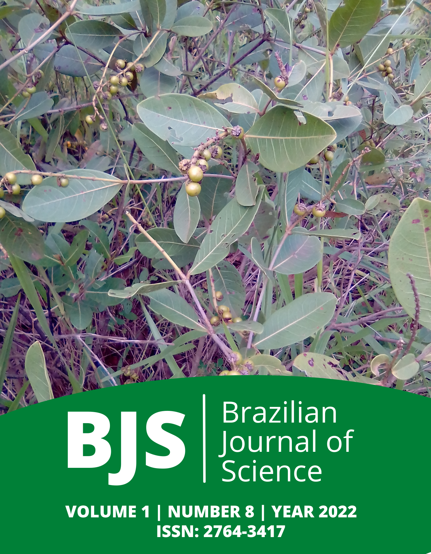					View Vol. 1 No. 8 (2022): Brazilian Journal of Science
				