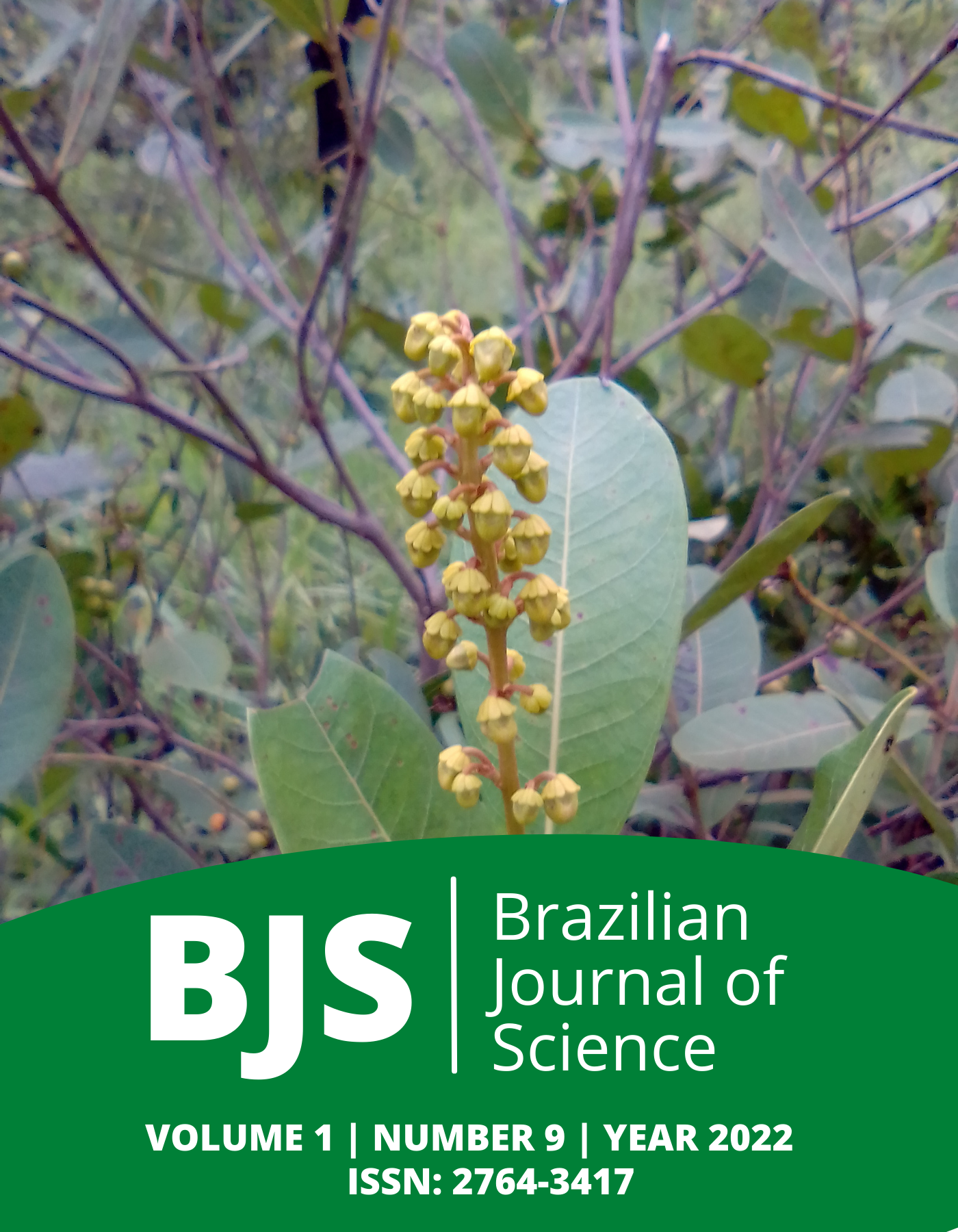 					View Vol. 1 No. 9 (2022): Brazilian Journal of Science
				