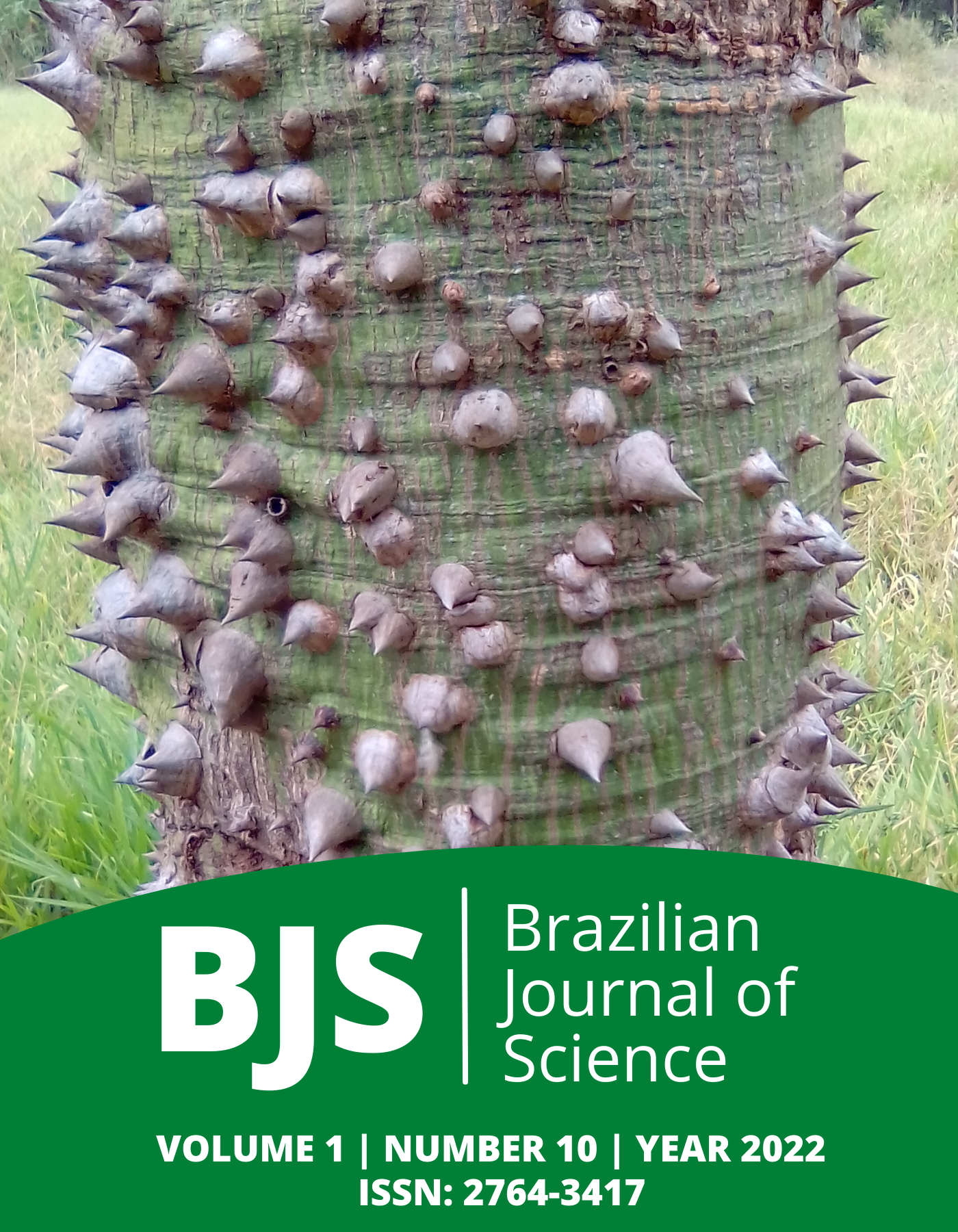 					View Vol. 1 No. 10 (2022): Brazilian Journal of Science
				