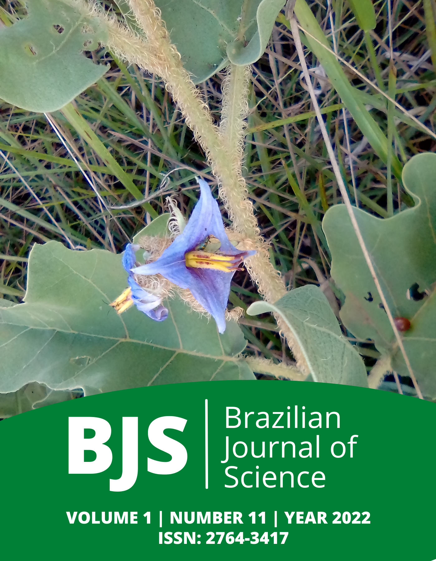 					View Vol. 1 No. 11 (2022): Brazilian Journal of Science
				