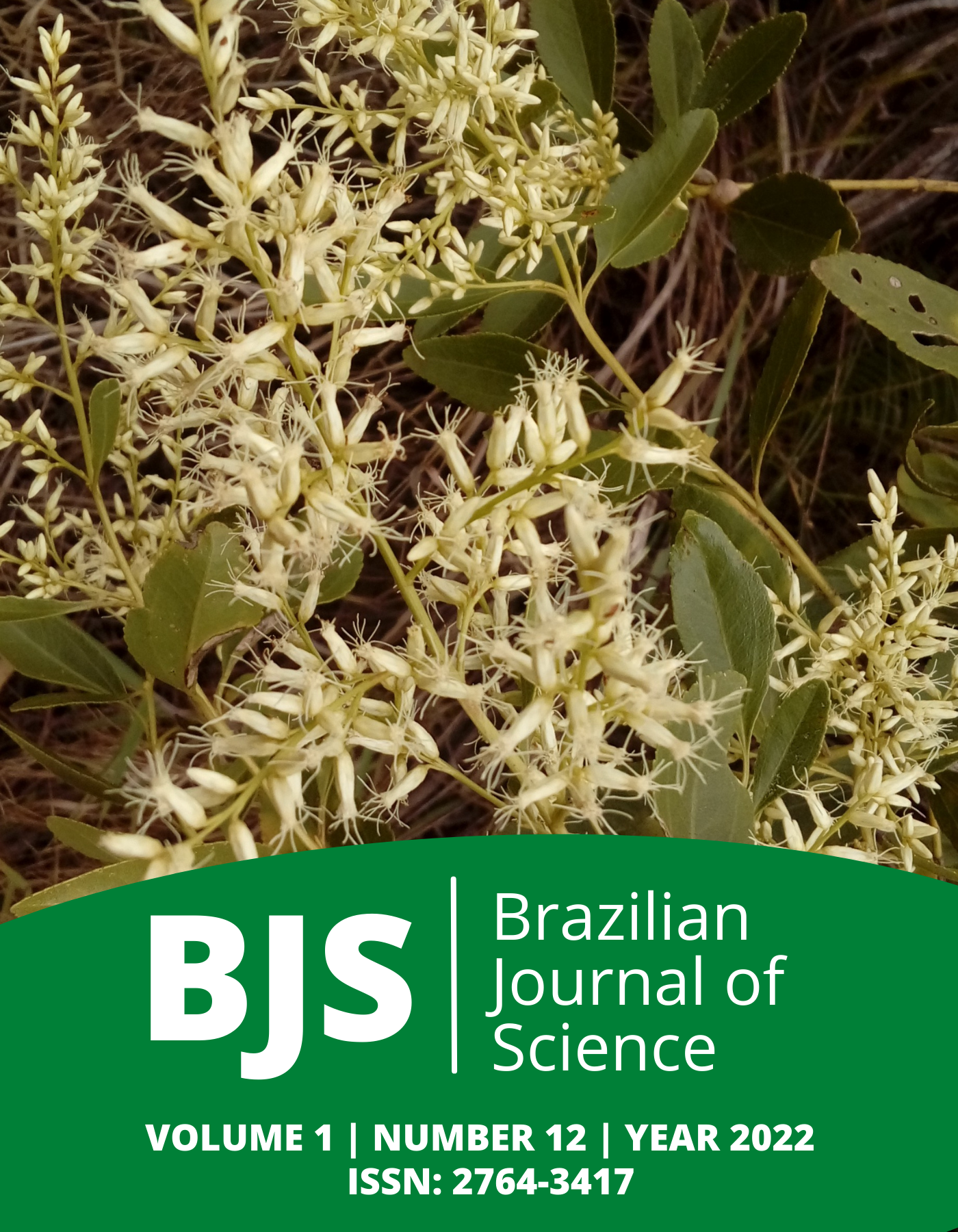 					View Vol. 1 No. 12 (2022): Brazilian Journal of Science
				