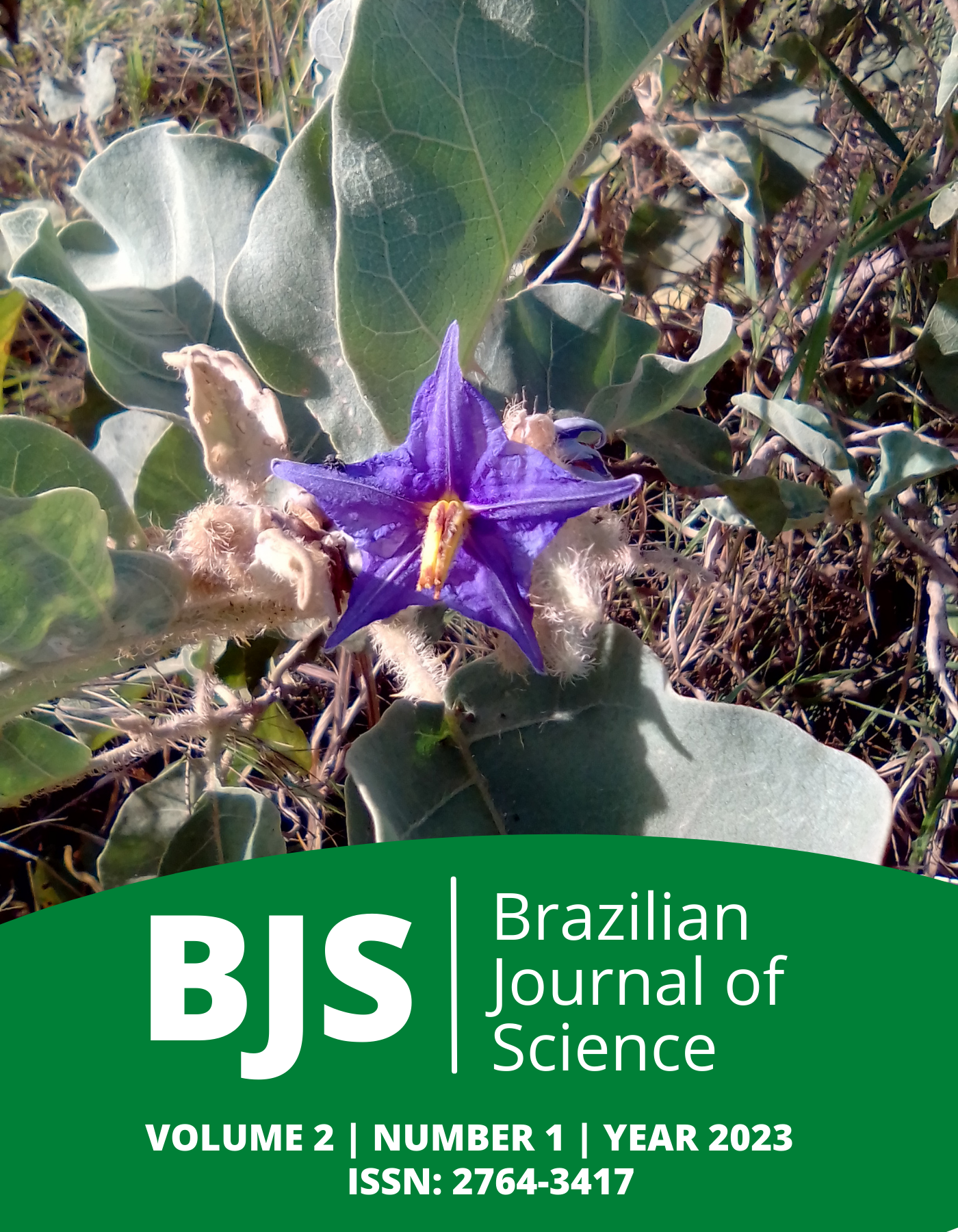 					View Vol. 2 No. 1 (2023): Brazilian Journal of Science
				