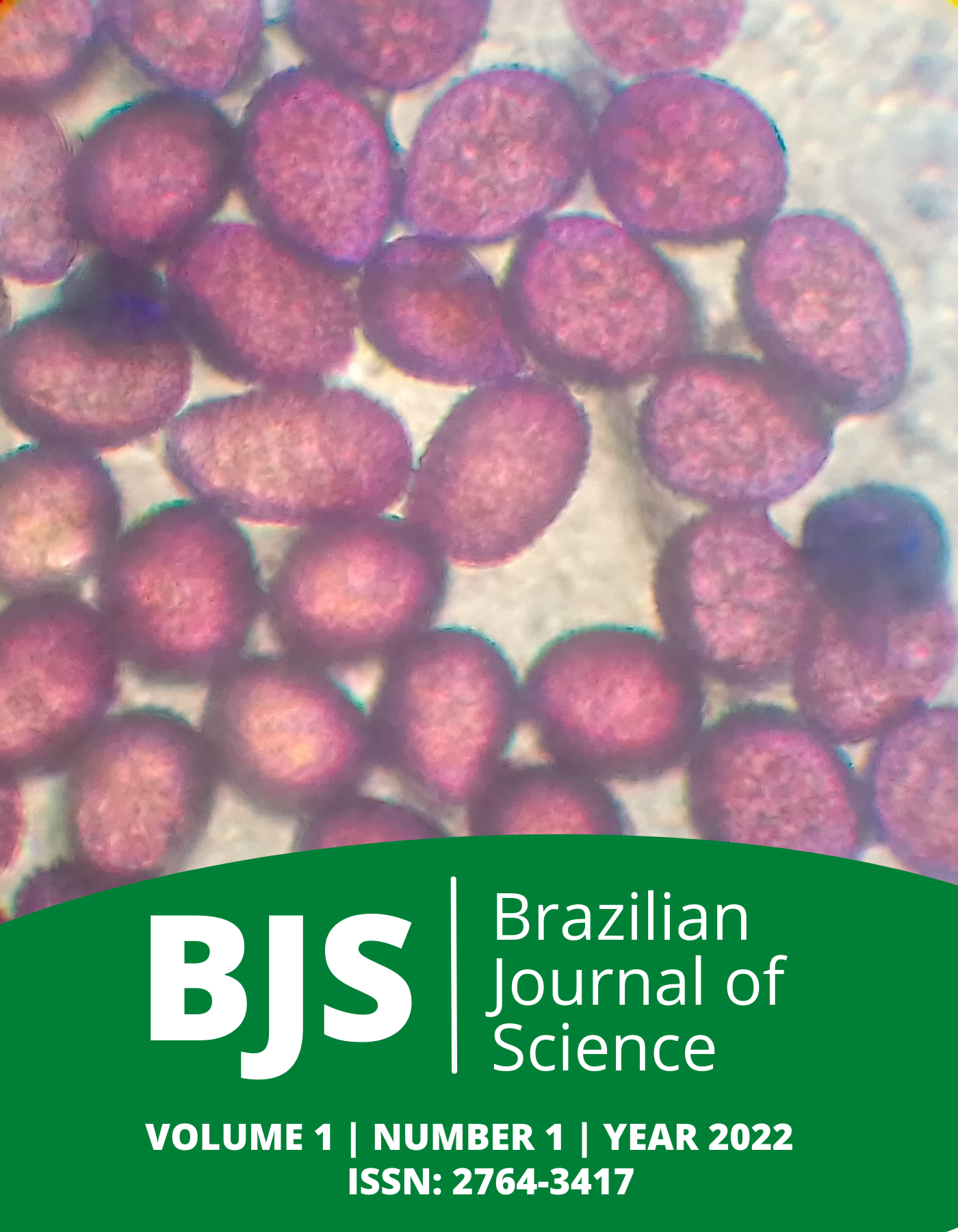 					View Vol. 1 No. 1 (2022): Brazilian Journal of Science
				