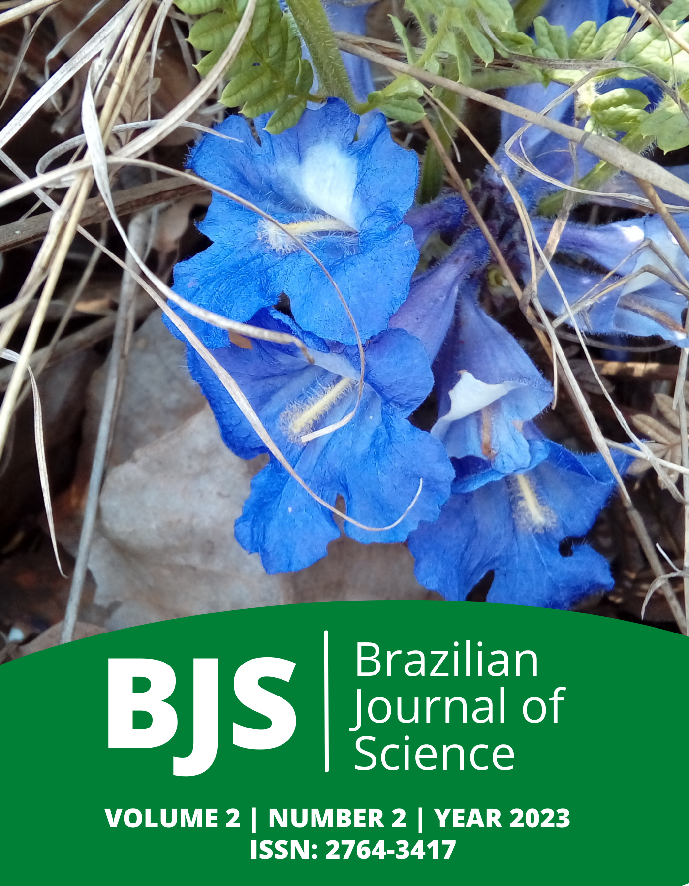 					View Vol. 2 No. 2 (2023): Brazilian Journal of Science
				