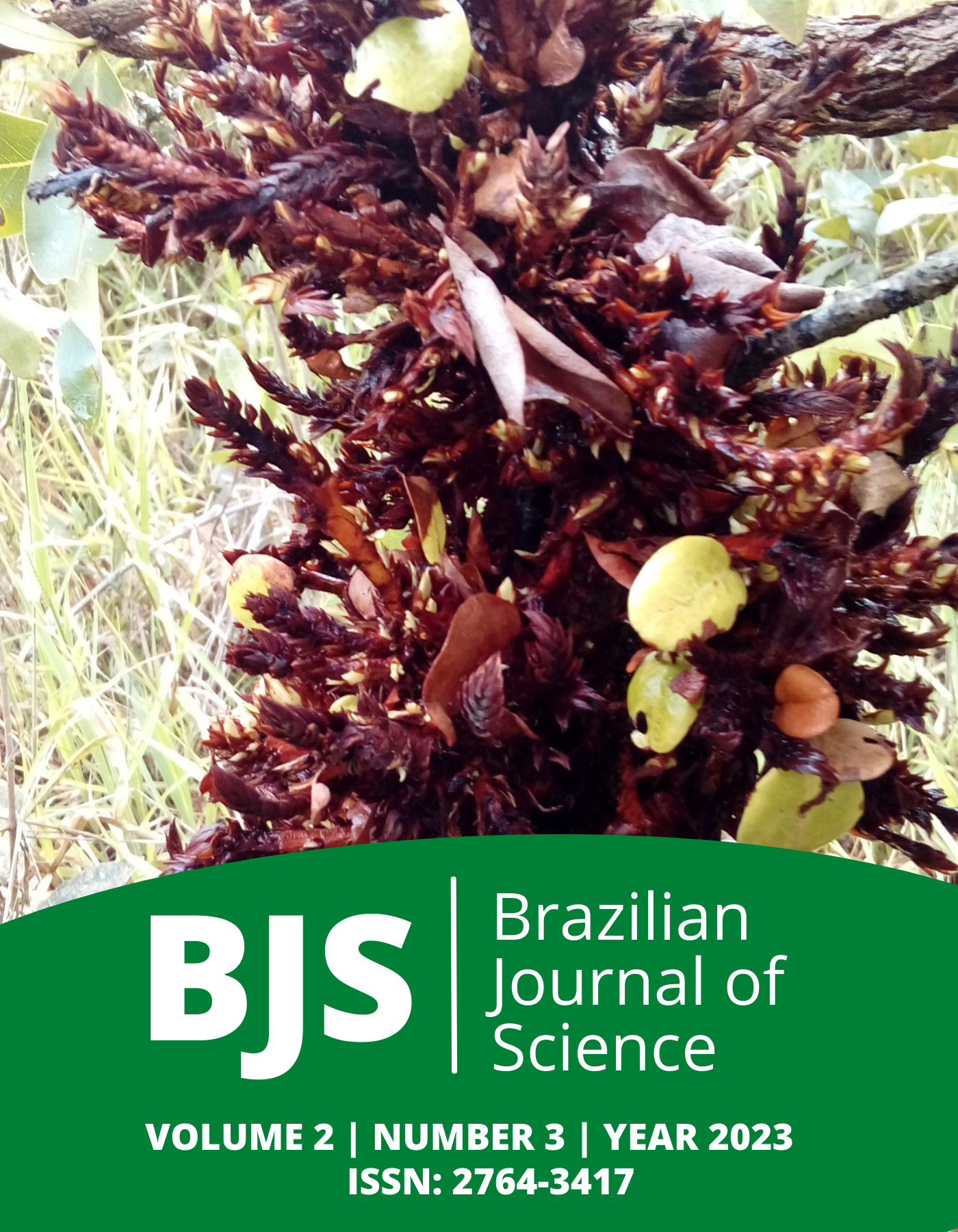 					View Vol. 2 No. 3 (2023): Brazilian Journal of Science
				