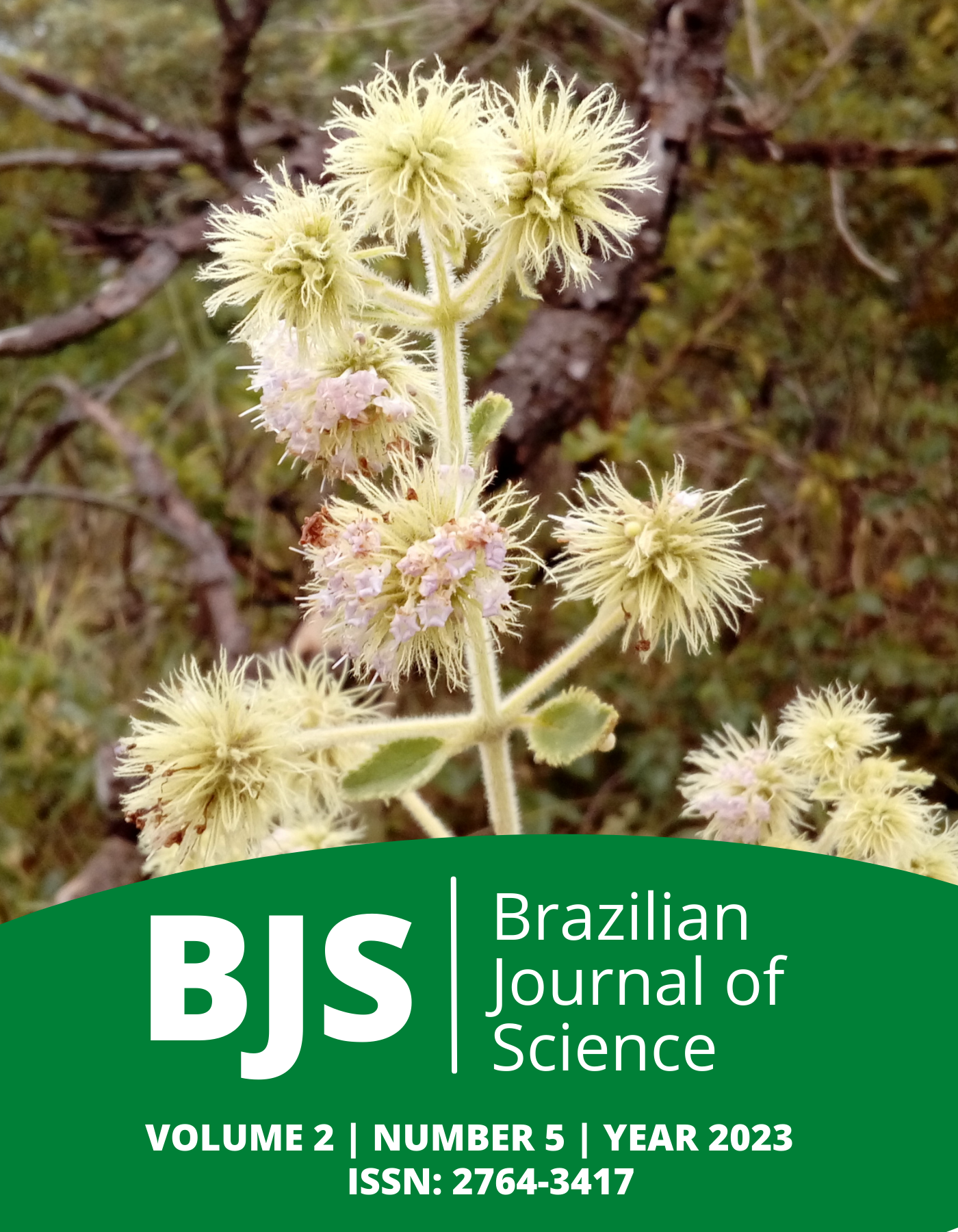 					View Vol. 2 No. 5 (2023): Brazilian Journal of Science
				