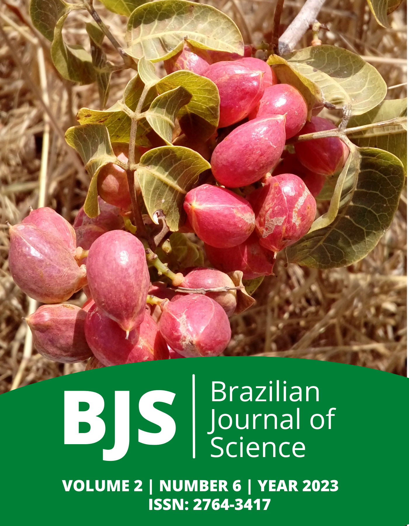 					View Vol. 2 No. 6 (2023): Brazilian Journal of Science
				