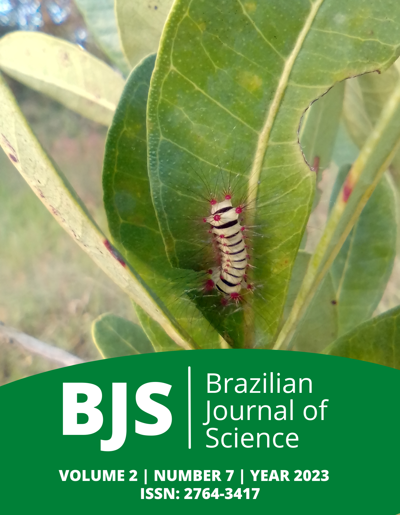 					View Vol. 2 No. 7 (2023): Brazilian Journal of Science
				