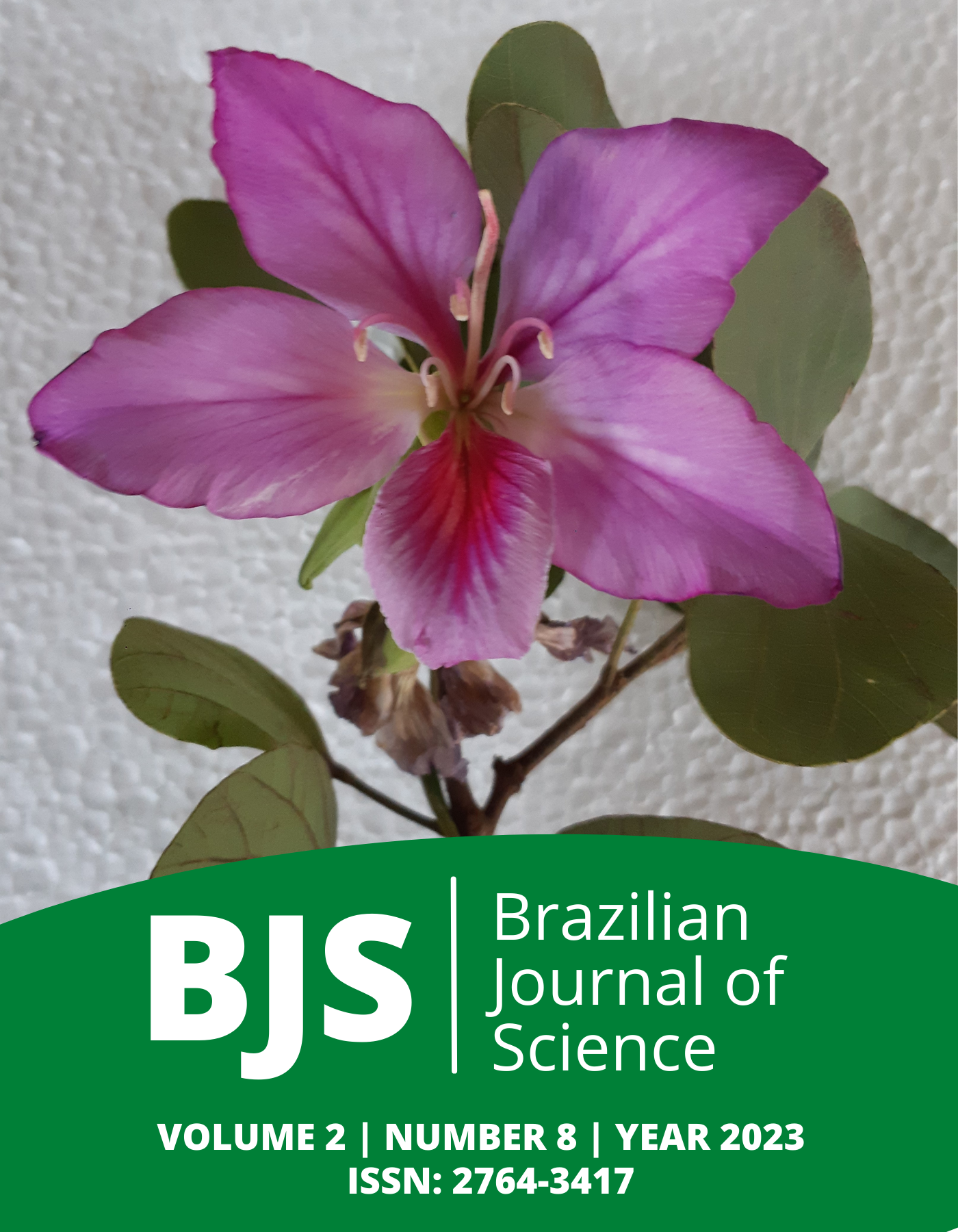 					View Vol. 2 No. 8 (2023): Brazilian Journal of Science
				