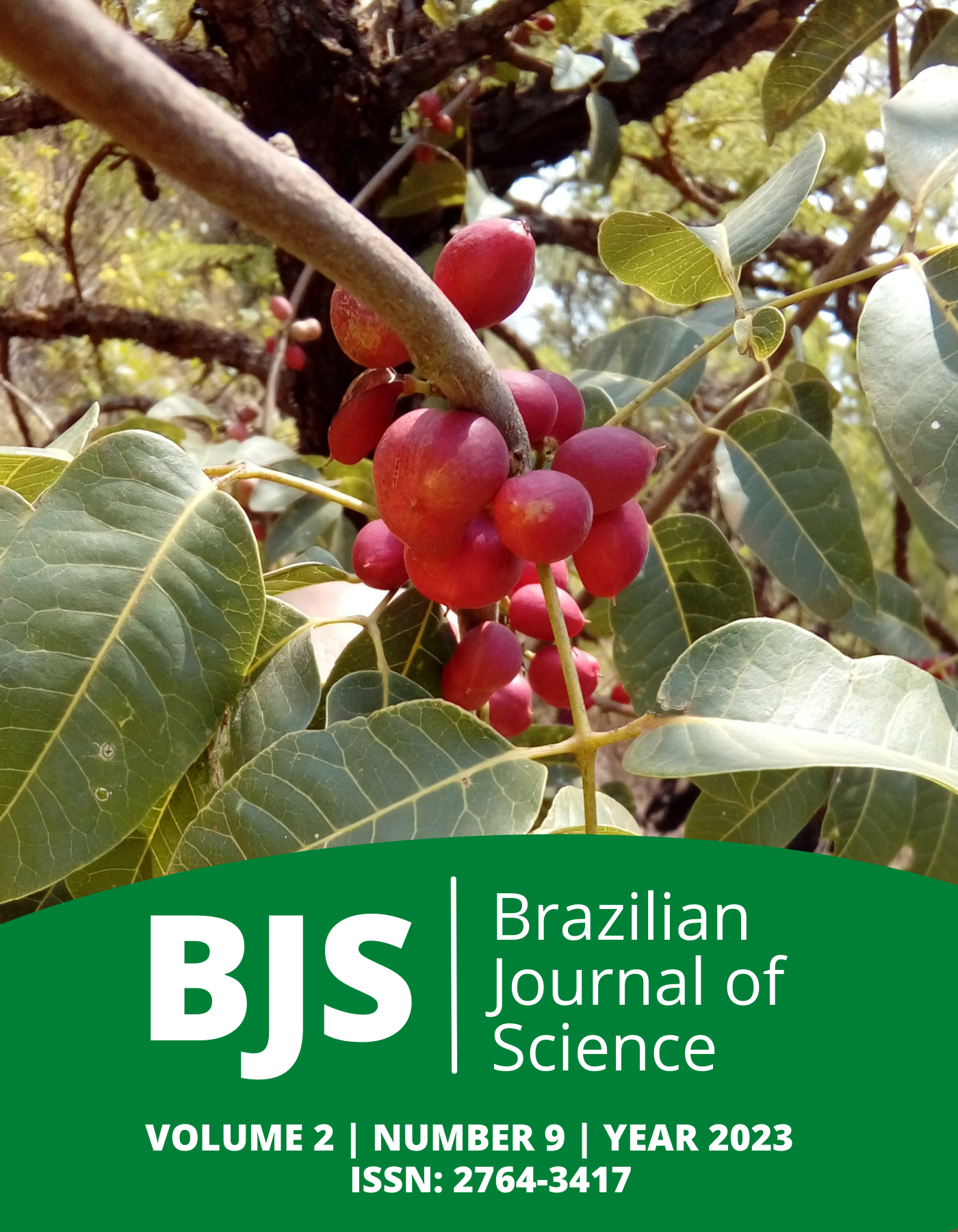 					View Vol. 2 No. 9 (2023): Brazilian Journal of Science
				