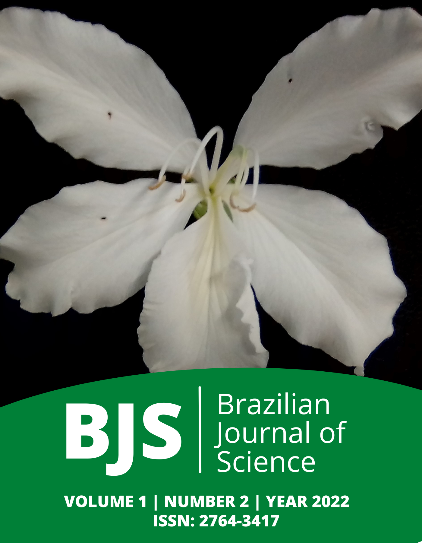 					View Vol. 1 No. 2 (2022): Brazilian Journal of Science
				