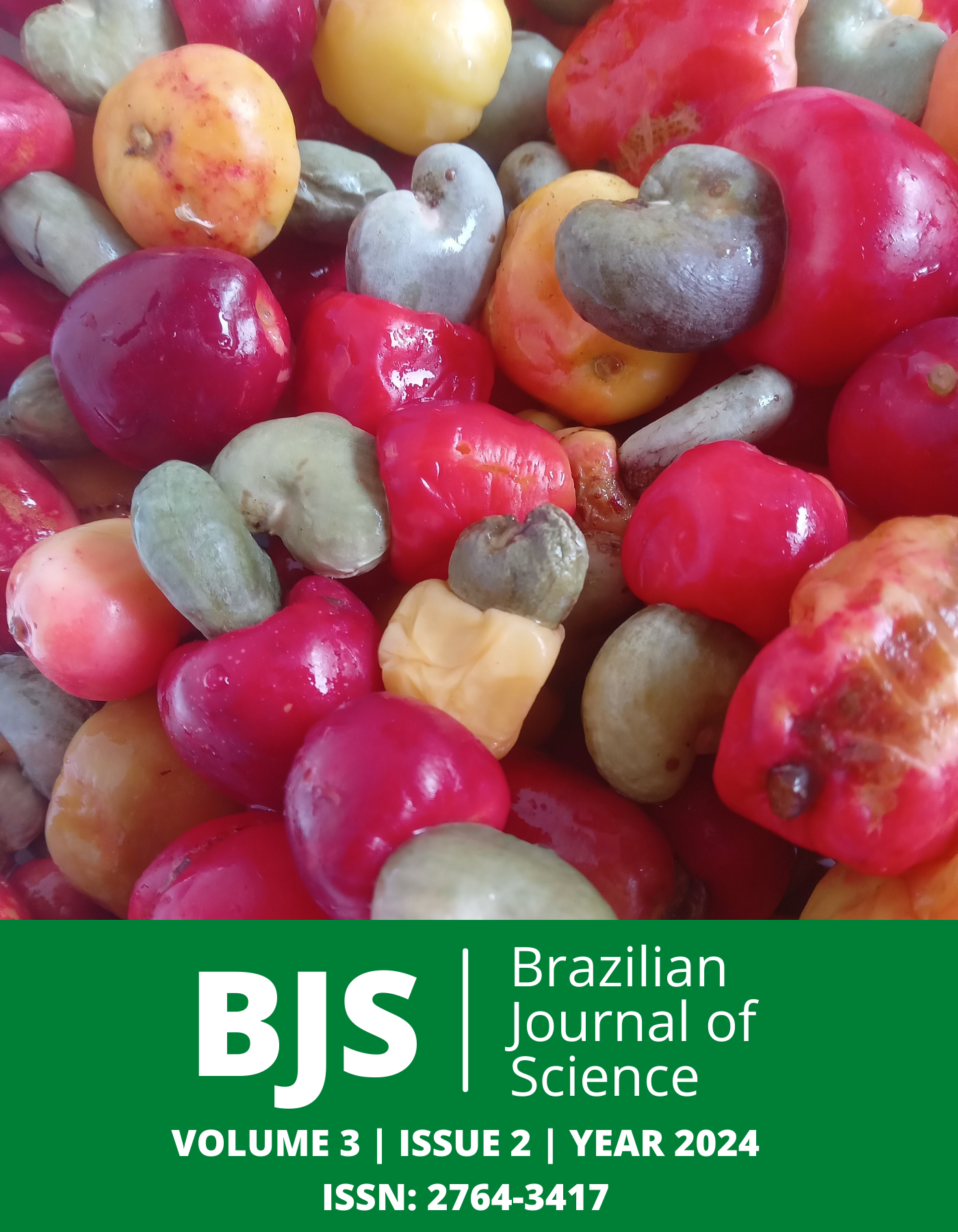 					View Vol. 3 No. 2 (2024): Brazilian Journal of Science
				