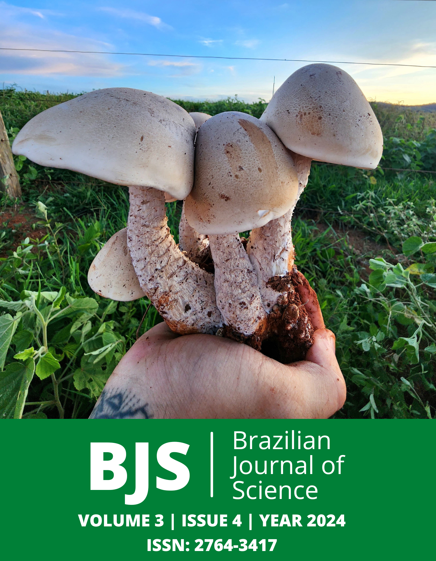 					View Vol. 3 No. 4 (2024): Brazilian Journal of Science
				