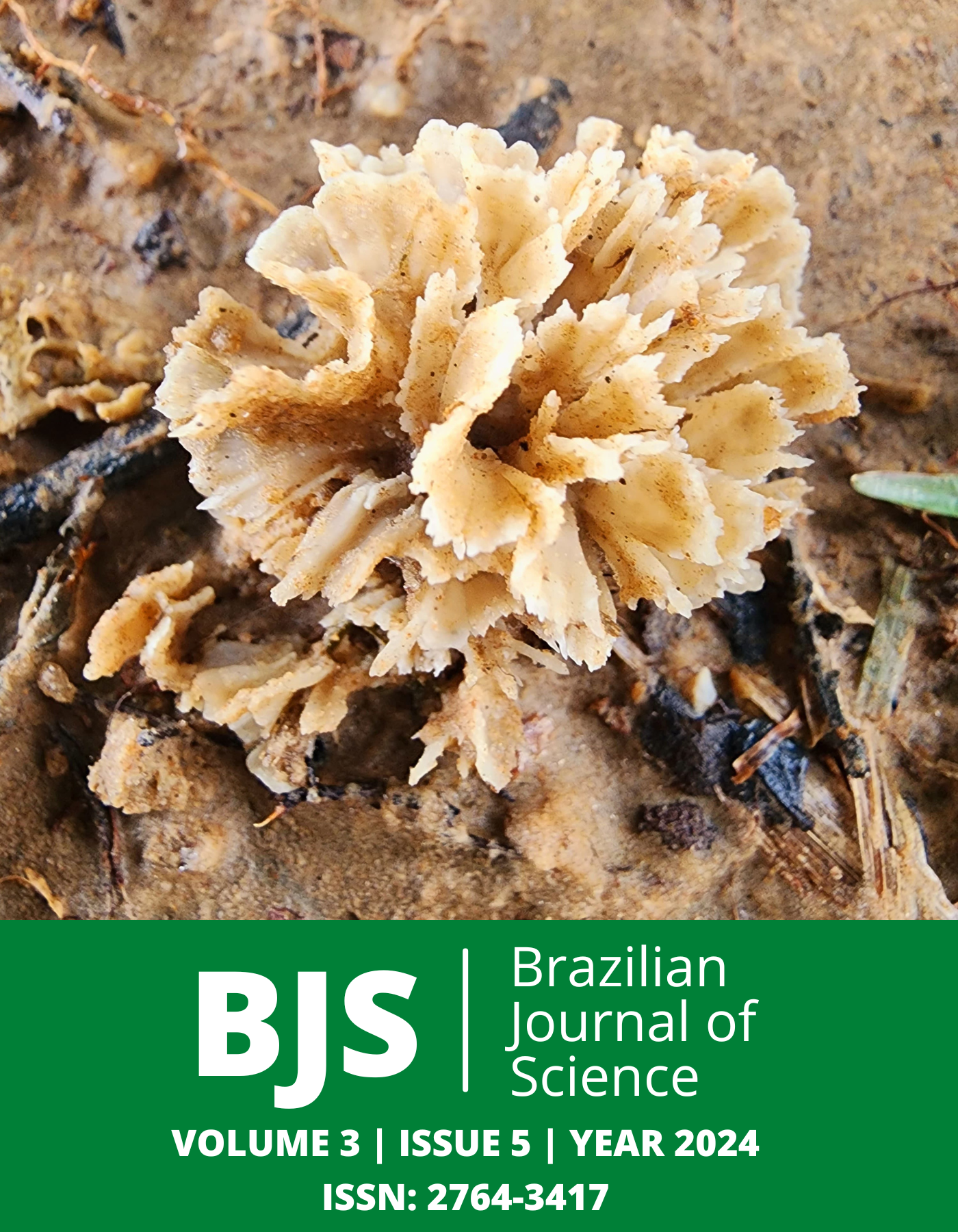 					View Vol. 3 No. 5 (2024): Brazilian Journal of Science
				