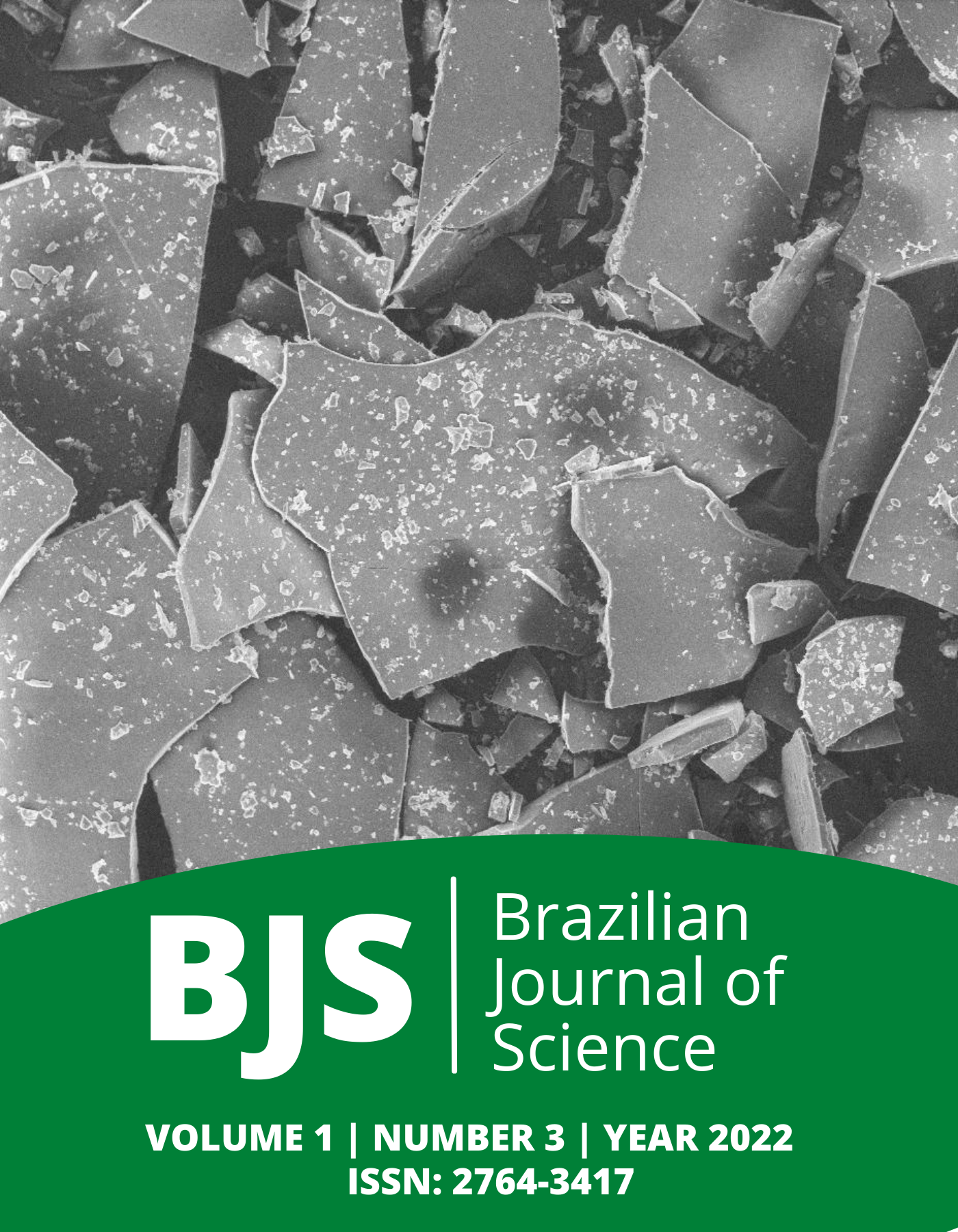 					View Vol. 1 No. 3 (2022): Brazilian Journal of Science
				