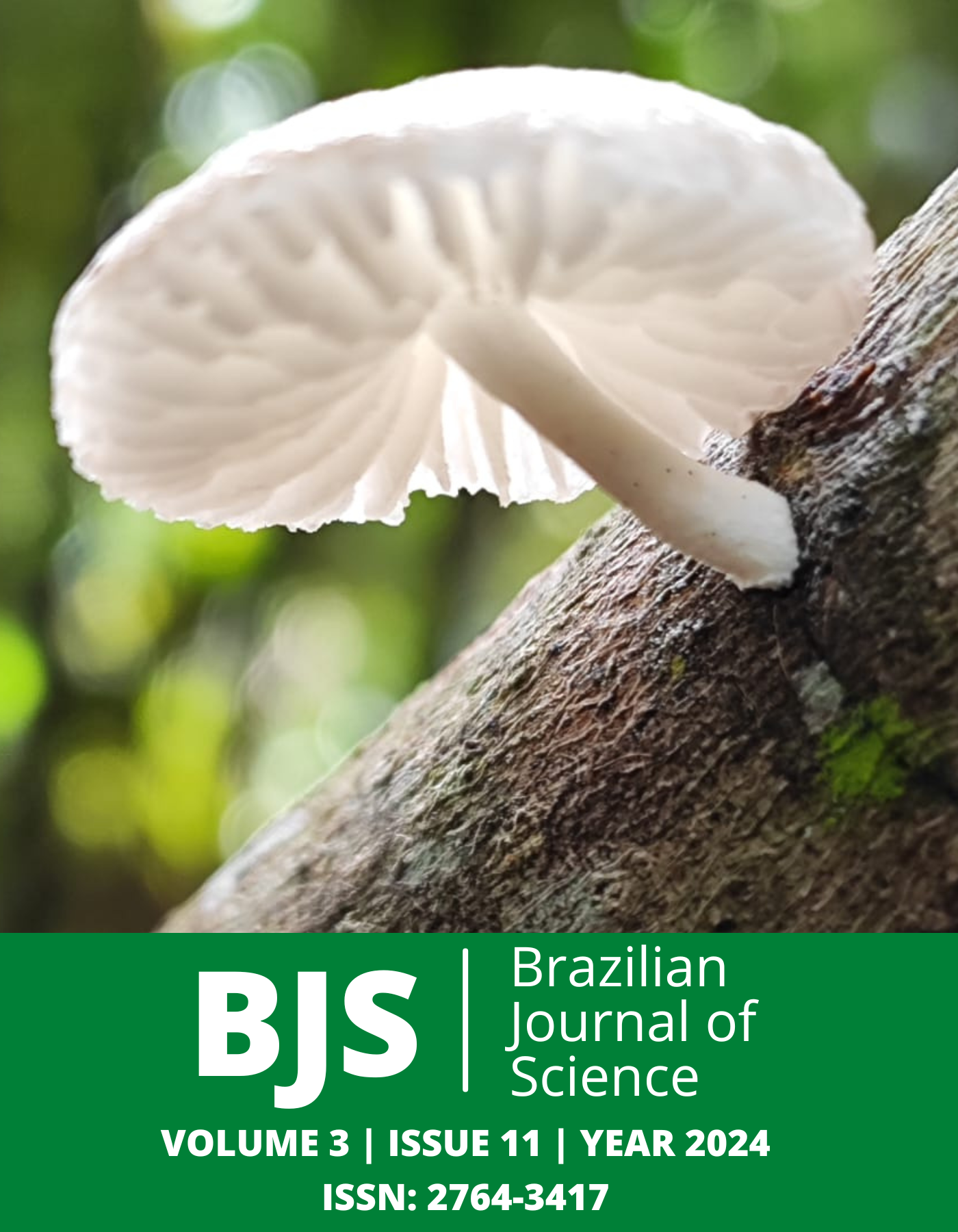 					View Vol. 3 No. 11 (2024): Brazilian Journal of Science
				