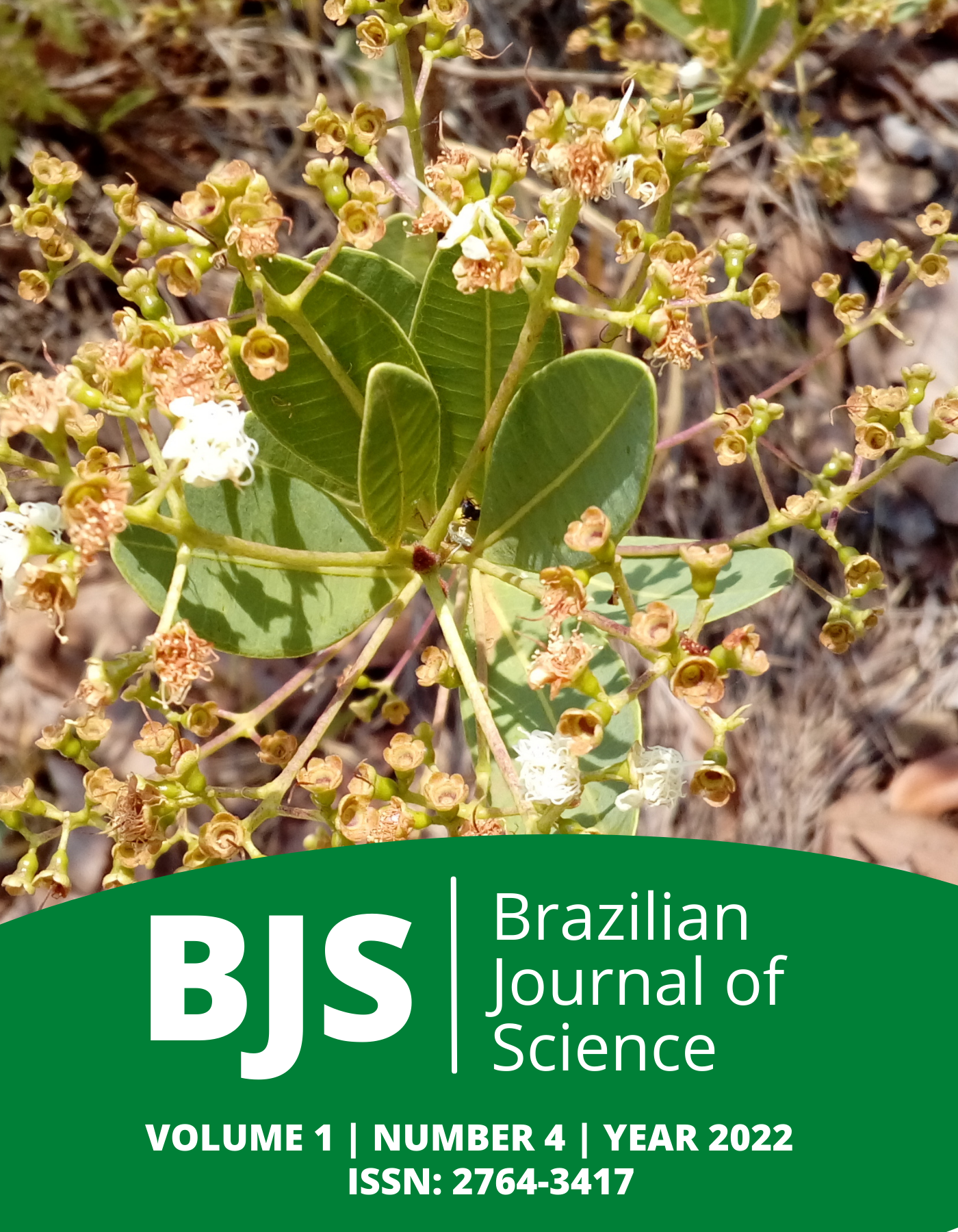 					View Vol. 1 No. 4 (2022): Brazilian Journal of Science
				