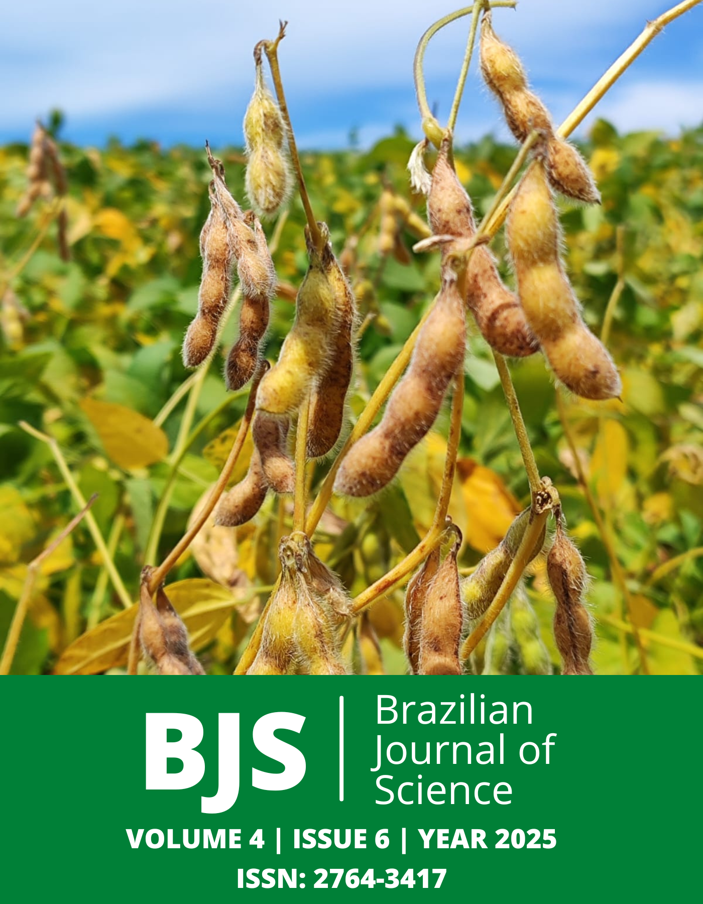 					View Vol. 4 No. 6 (2025): Brazilian Journal of Science
				