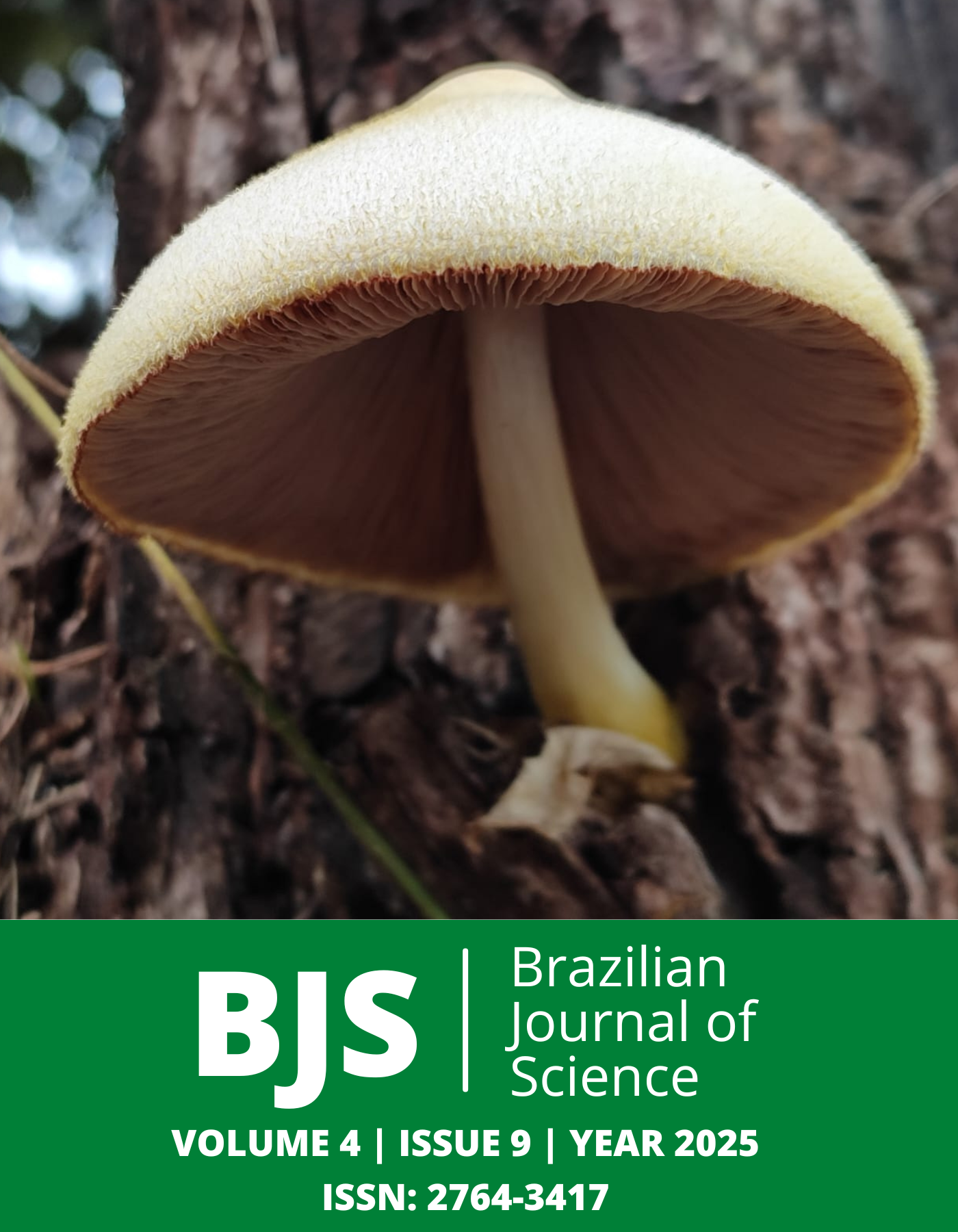 					View Vol. 4 No. 9 (2025):  Brazilian Journal of Science
				