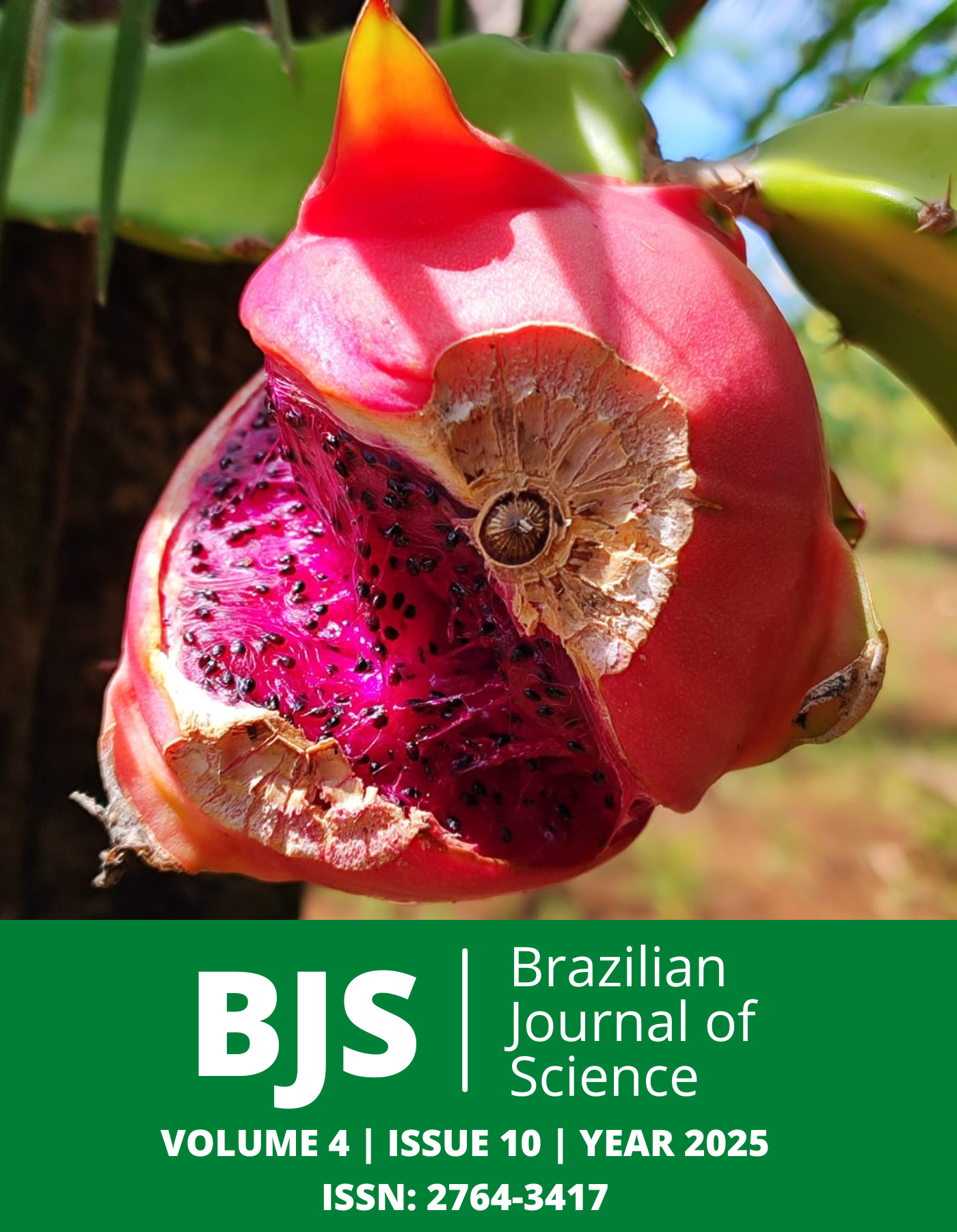 					View Vol. 4 No. 10 (2025): Brazilian Journal of Science
				