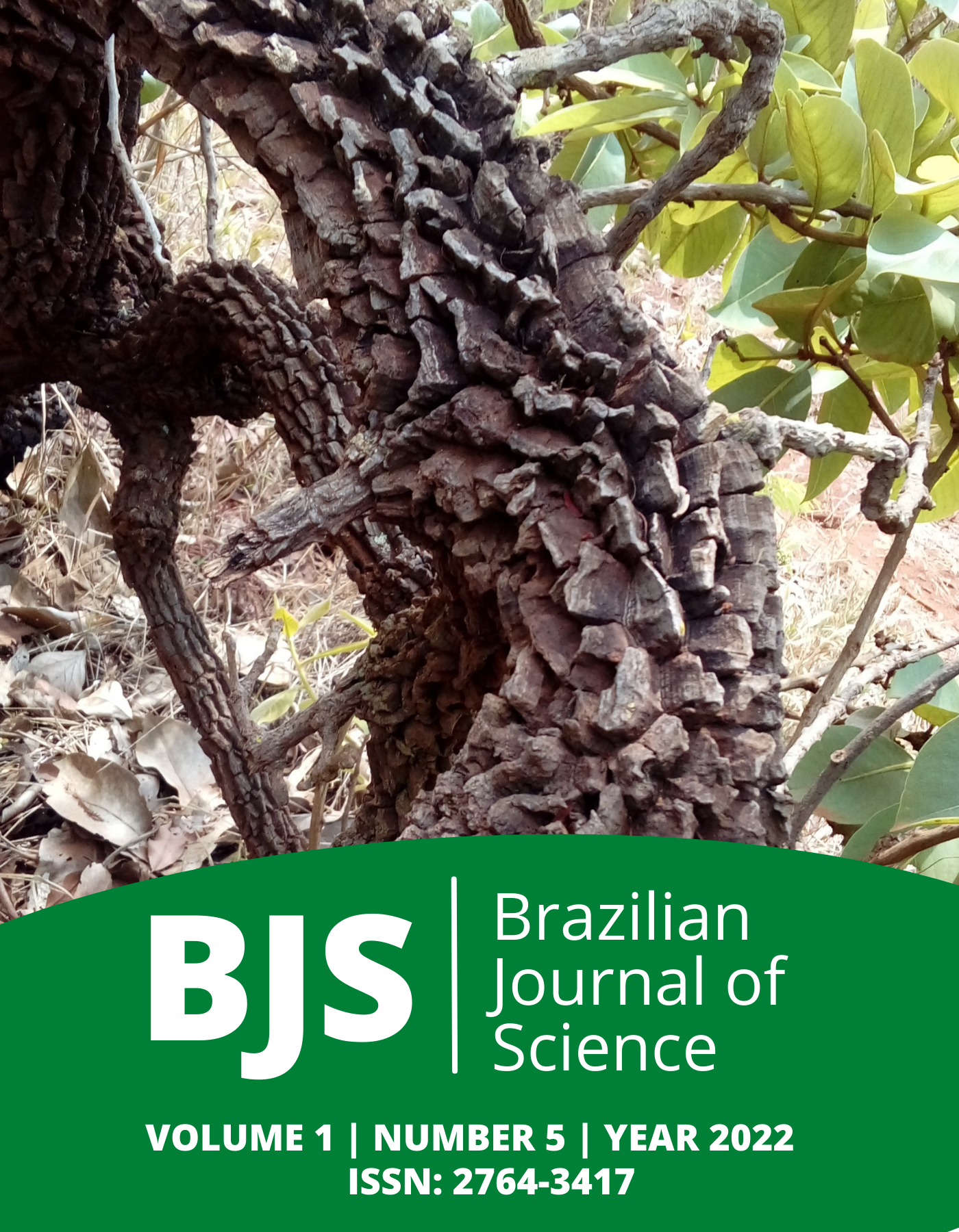 					View Vol. 1 No. 5 (2022): Brazilian Journal of Science
				