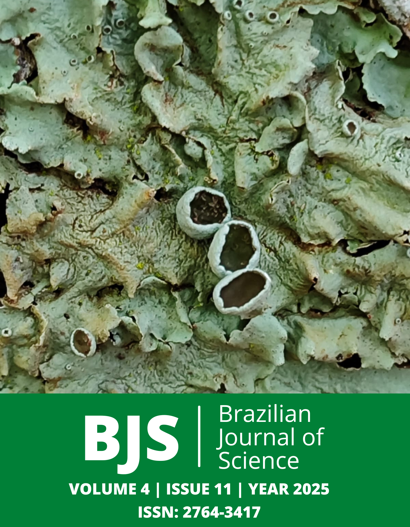 					View Vol. 4 No. 11 (2025): Brazilian Journal of Science
				