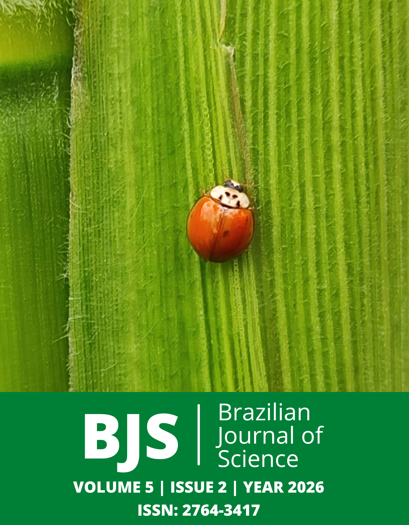 					View Vol. 5 No. 2 (2026): Brazilian Journal of Science
				