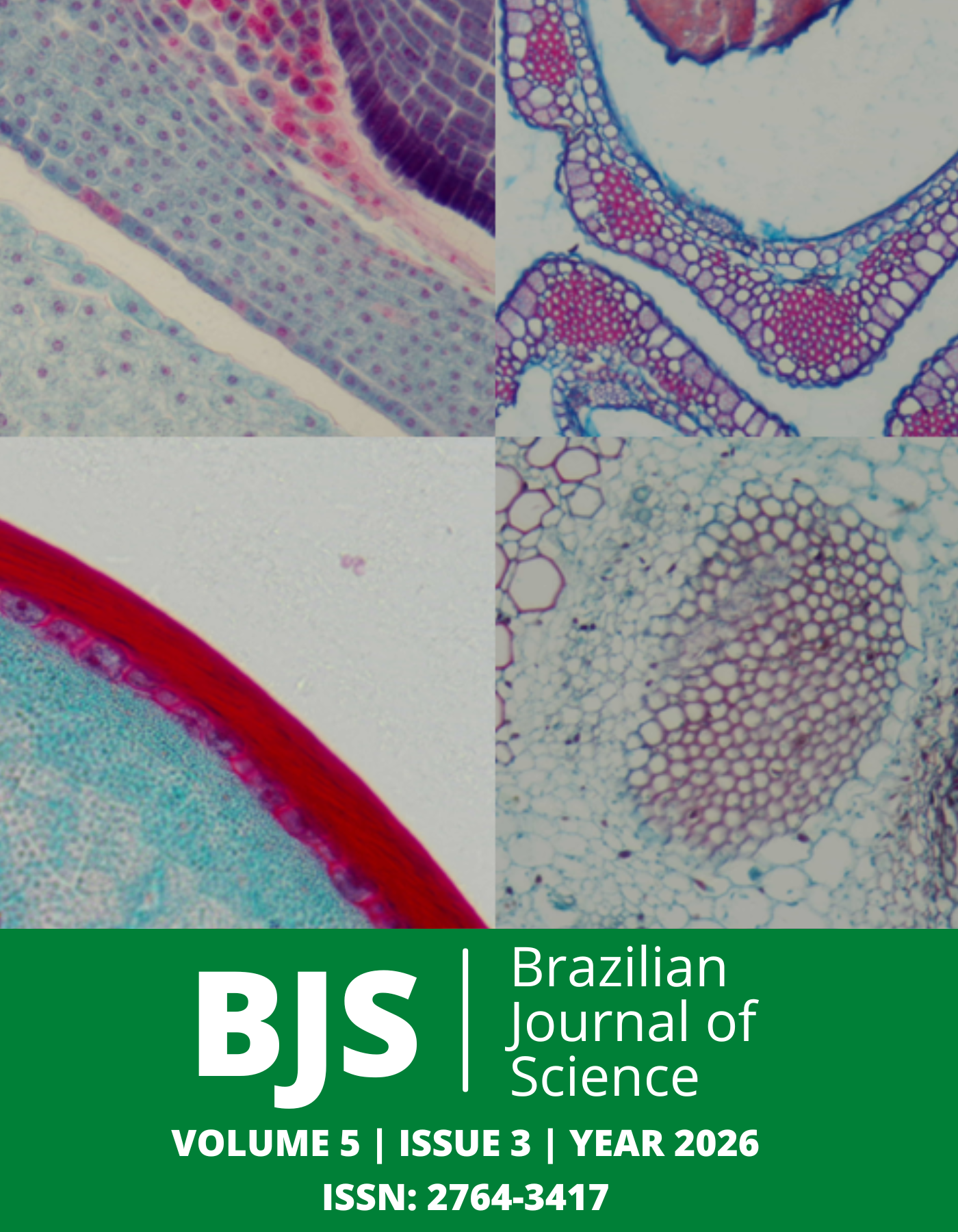 					View Vol. 5 No. 3 (2025): Brazilian Journal of Science
				