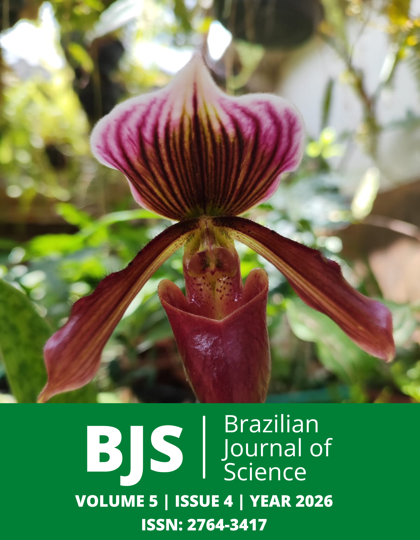 					View Vol. 5 No. 4 (2026): Brazilian Journal of Science
				