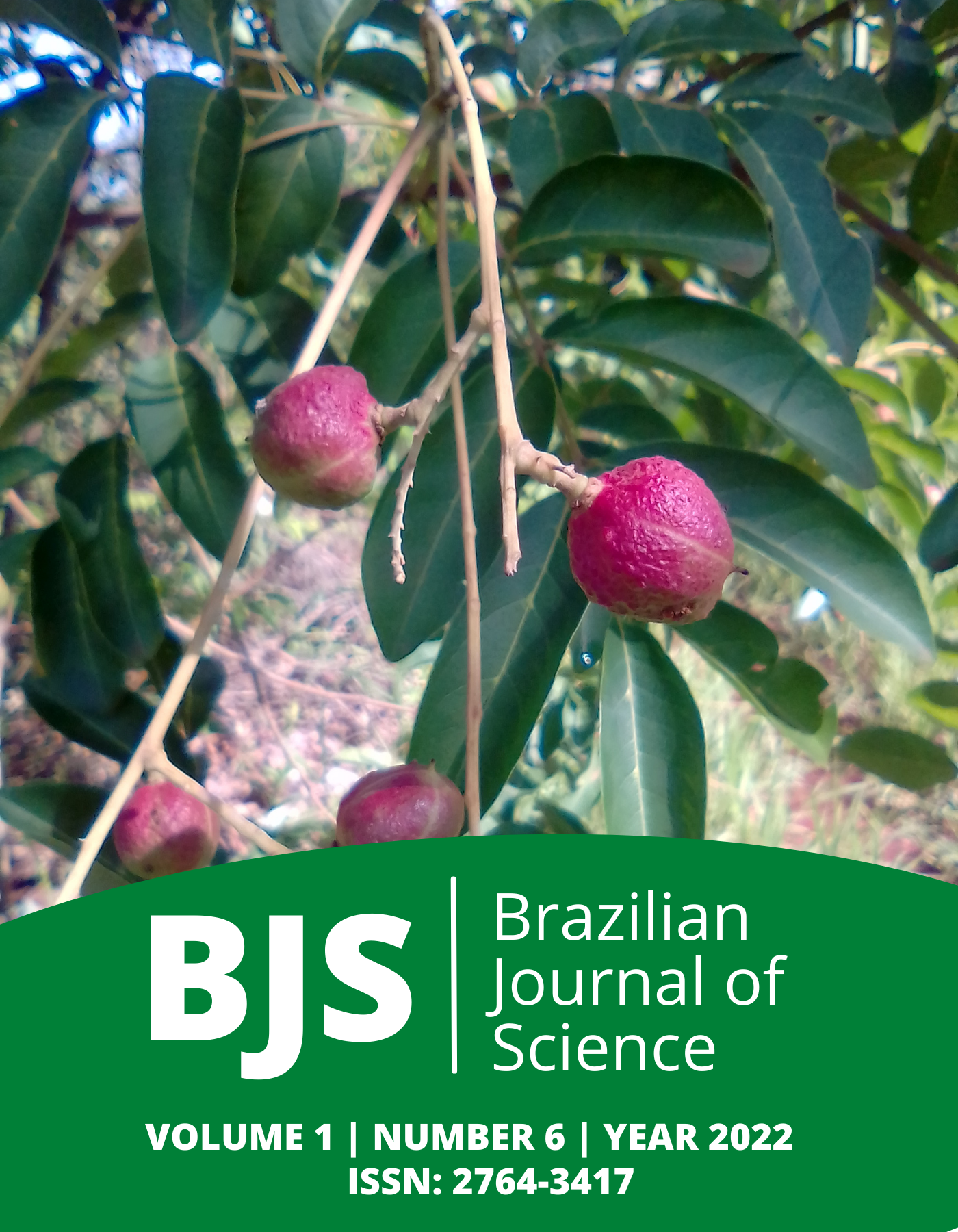 					View Vol. 1 No. 6 (2022): Brazilian Journal of Science
				