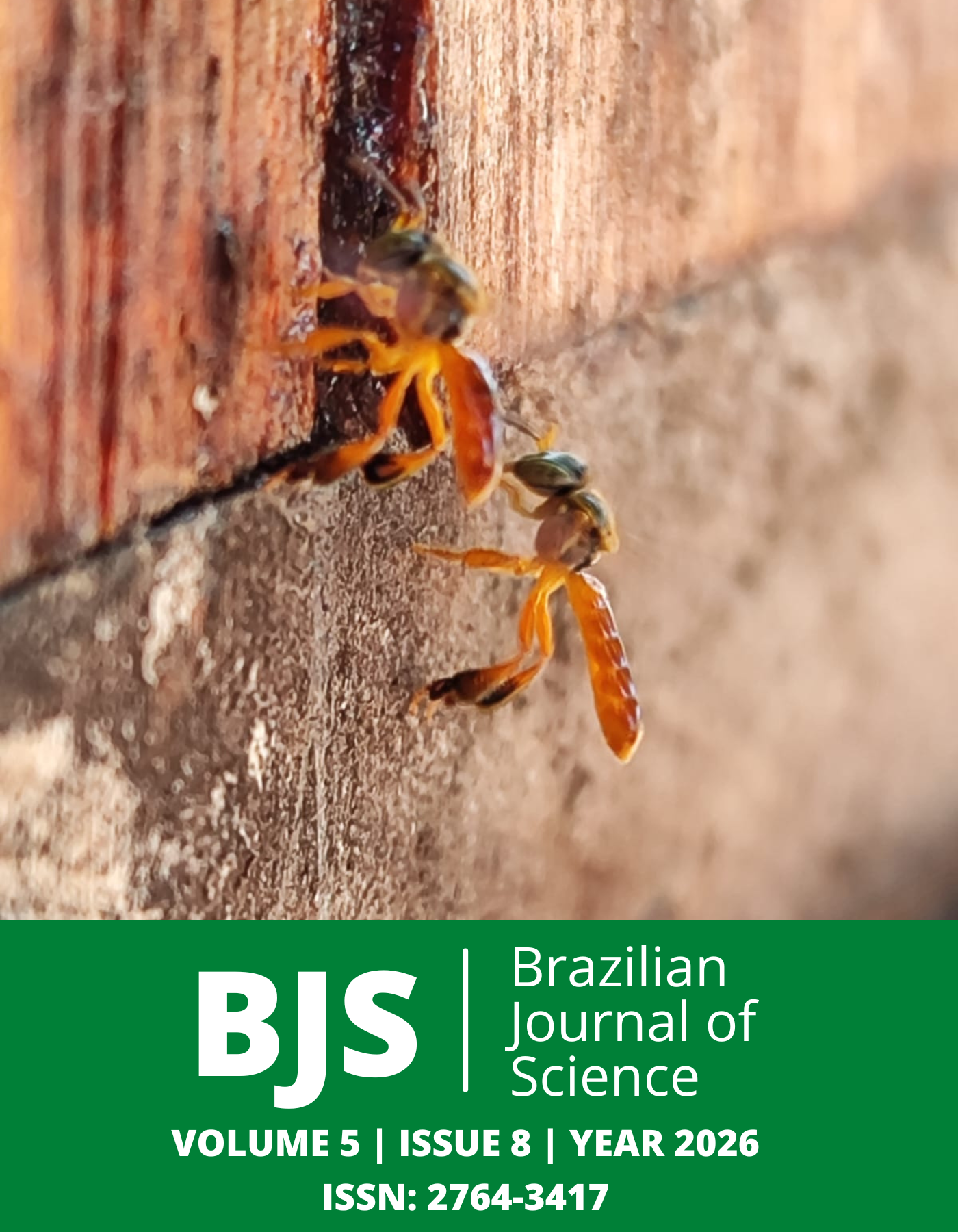 					View Vol. 5 No. 8 (2026): Brazilian Journal of Science
				