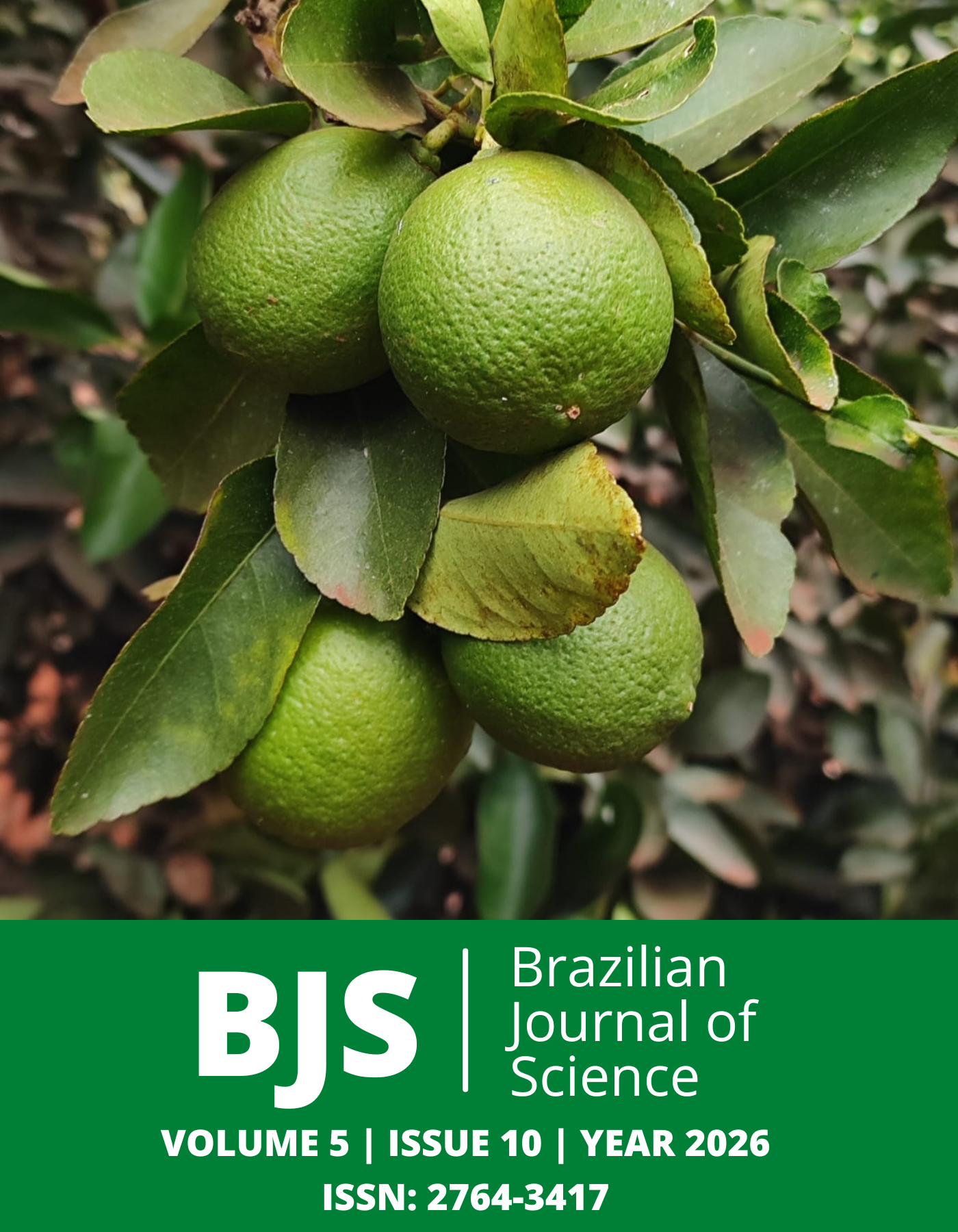 					View Vol. 5 No. 10 (2026): Brazilian Journal of Science
				
